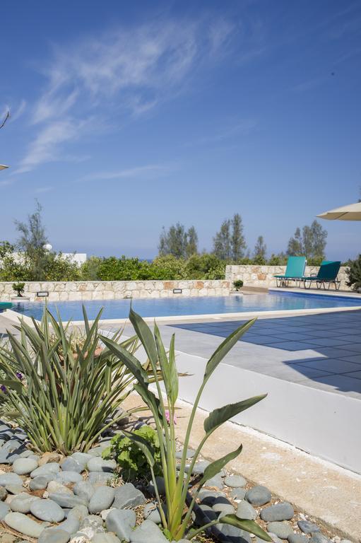 Savvas Villa Argaka Extérieur photo
