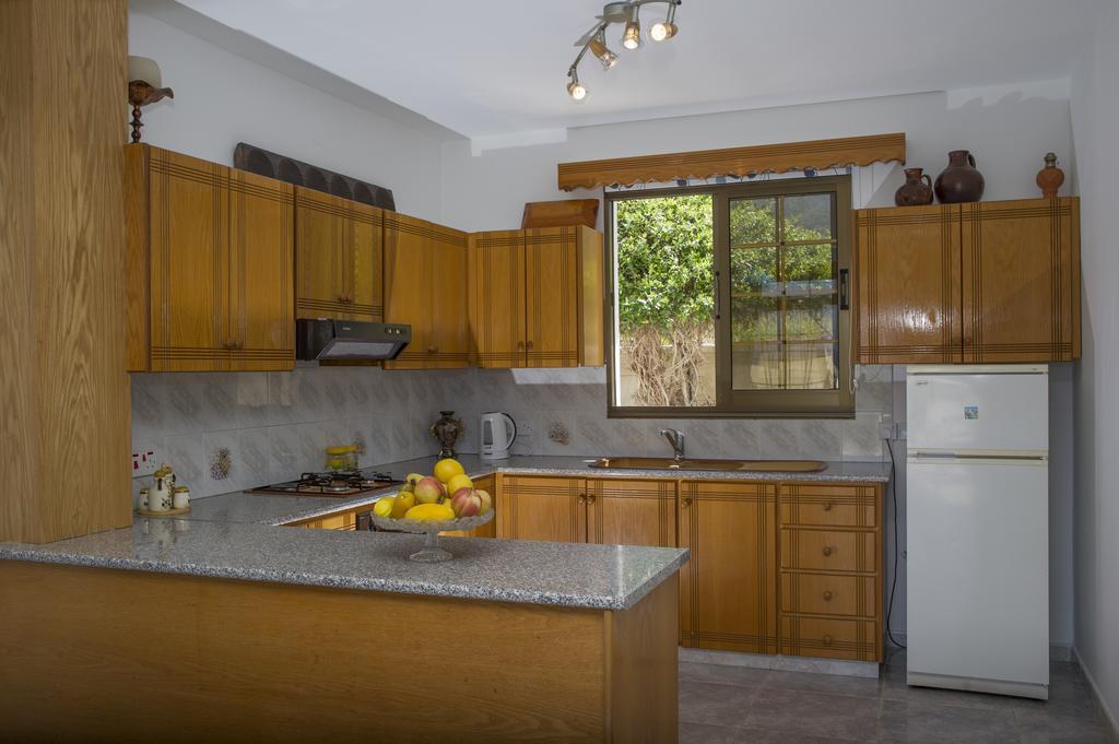 Savvas Villa Argaka Extérieur photo